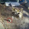 8CH 4K AI NVR / Cameras, Mix and Match - Image 10